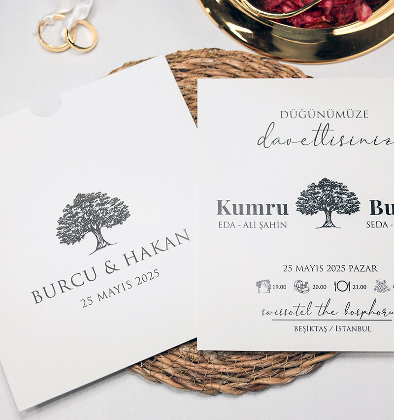 2464 Invitația 2464-armony-24